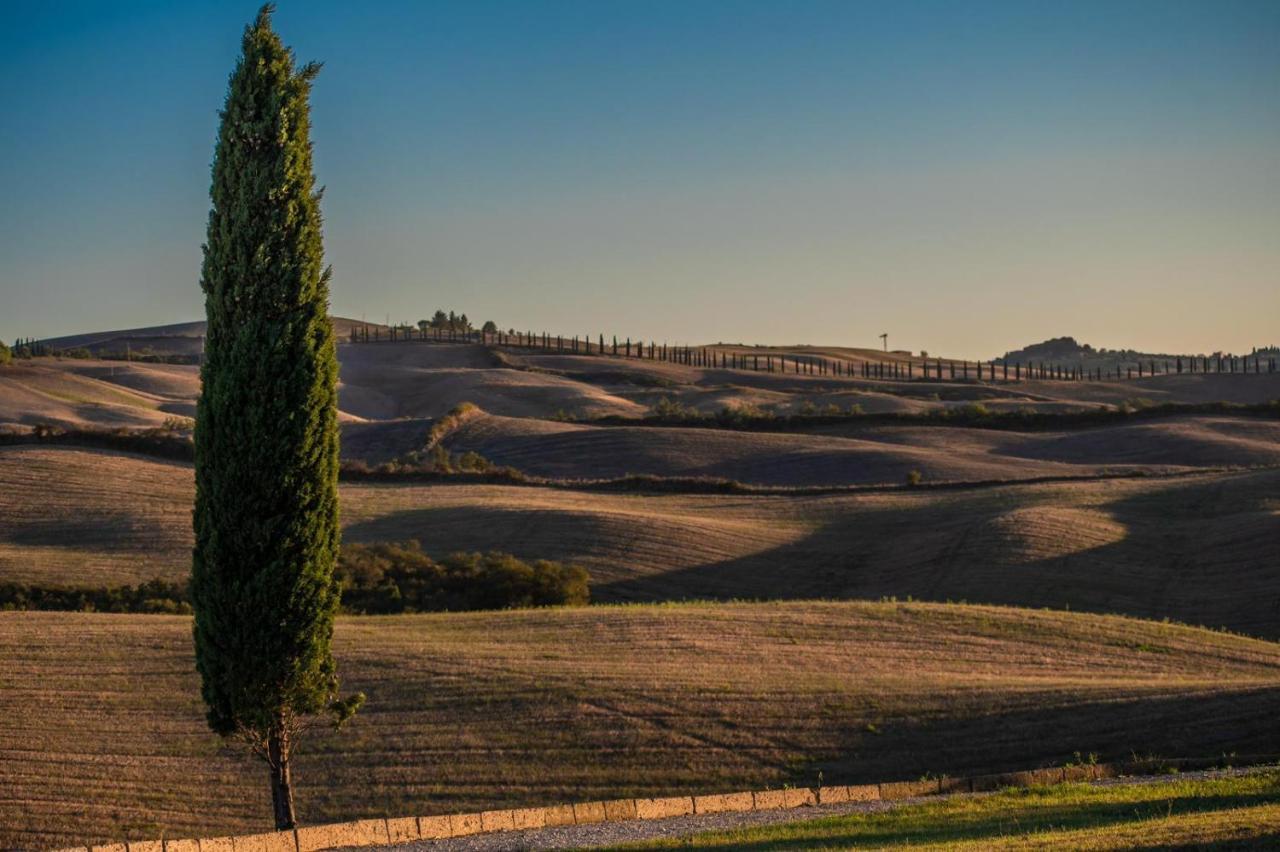 Casa Lavanda - Podere Fossaccio Asciano Exteriér fotografie