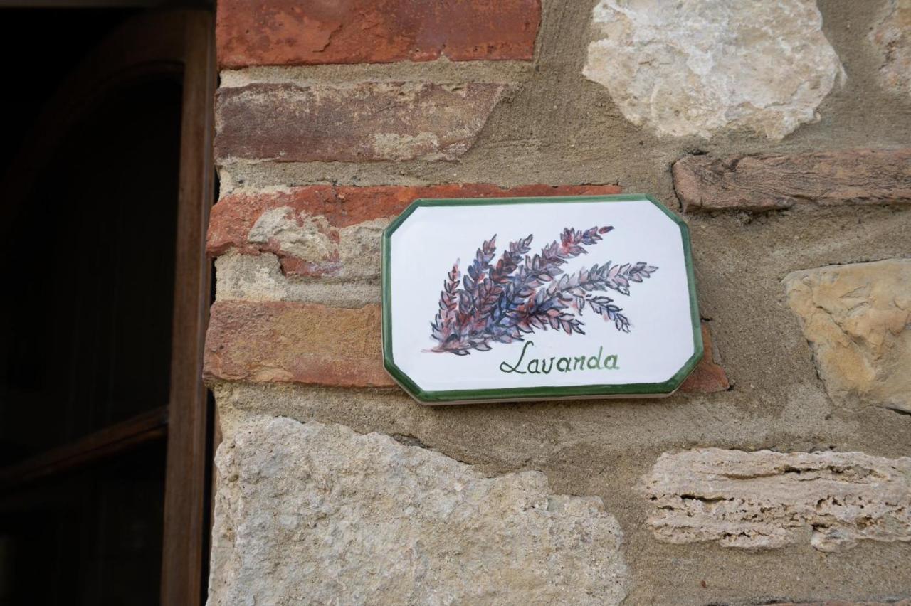 Casa Lavanda - Podere Fossaccio Asciano Exteriér fotografie